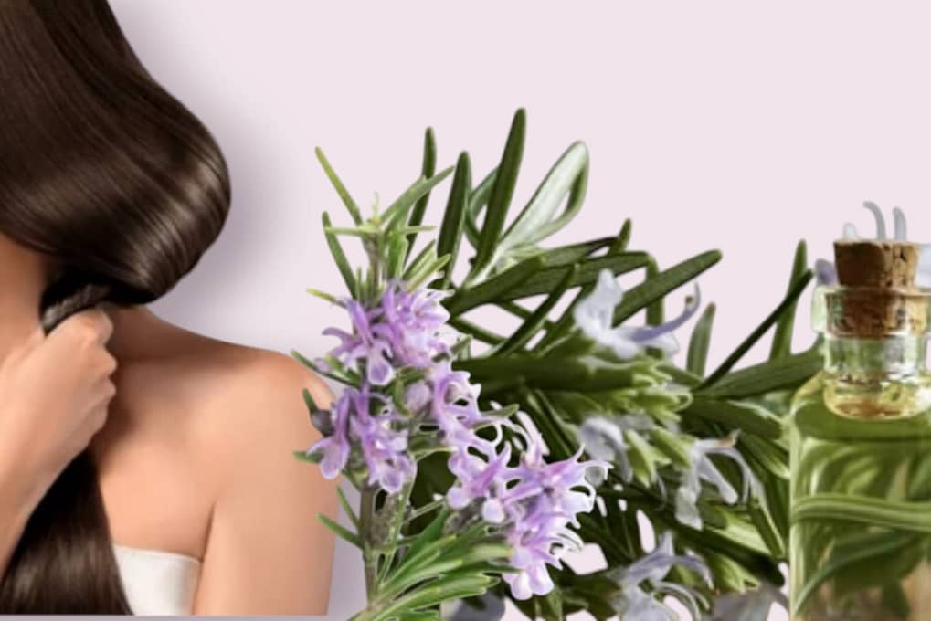 How to use rosemary oil for hair growth?