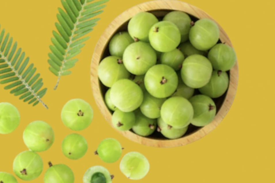 amla benifits